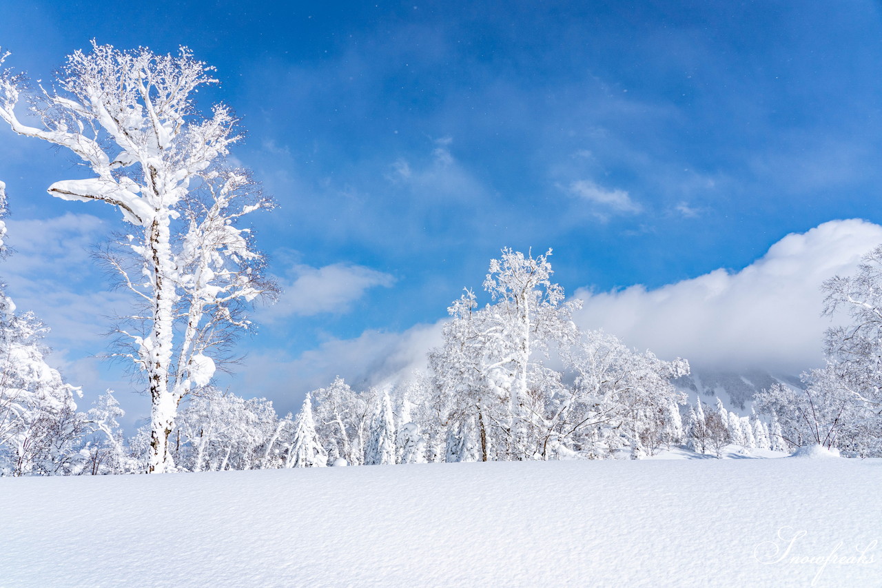 ルスツリゾート 2日間の吹雪の後の青空 たっぷり新雪が降り積もった樹氷林の中を滑る 北海道雪山情報 Snowfreaks