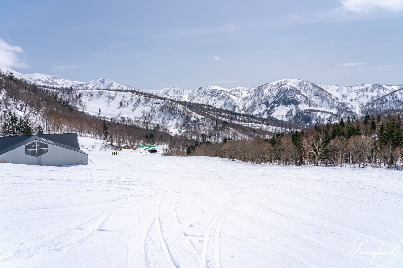 キロロリゾート 本当に明日でシーズン終わり？！まだまだ積雪豊富なキロロでGW春スキーを満喫(*^^*) | 北海道雪山情報｢SNOWFreaks｣