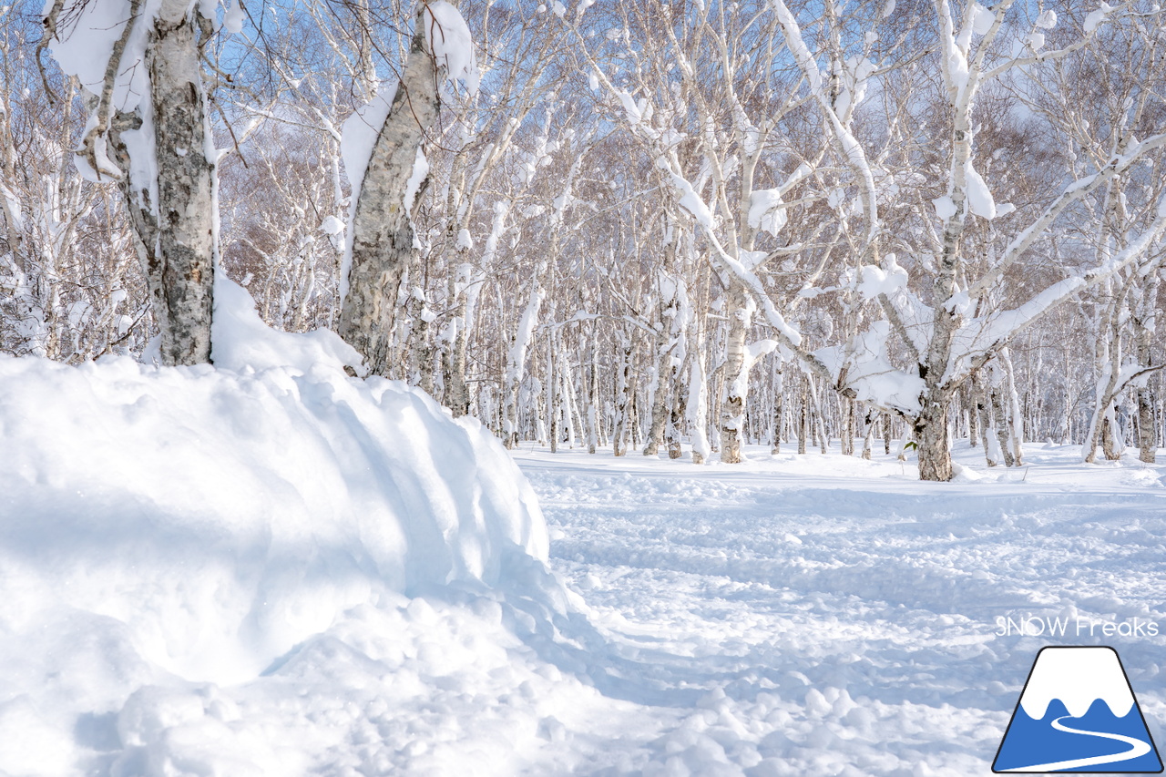 マウントレースイ｜お正月の記録的な大雪でゲレンデのコンディションはバッチリ！凸凹の未圧雪エリアを楽しみましょう♪ | 北海道雪山情報 ...