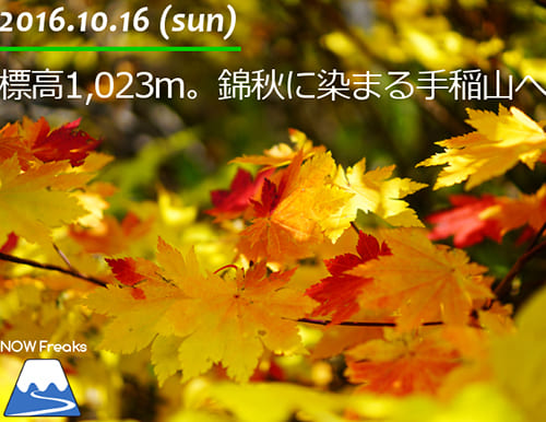 標高1,023m。錦秋に染まる手稲山へ。