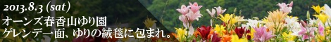 小樽オーンズ春香山ゆり園 ゲレンデ一面、ゆりの花の絨毯に。
